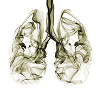 marihuana-humo-pulmones